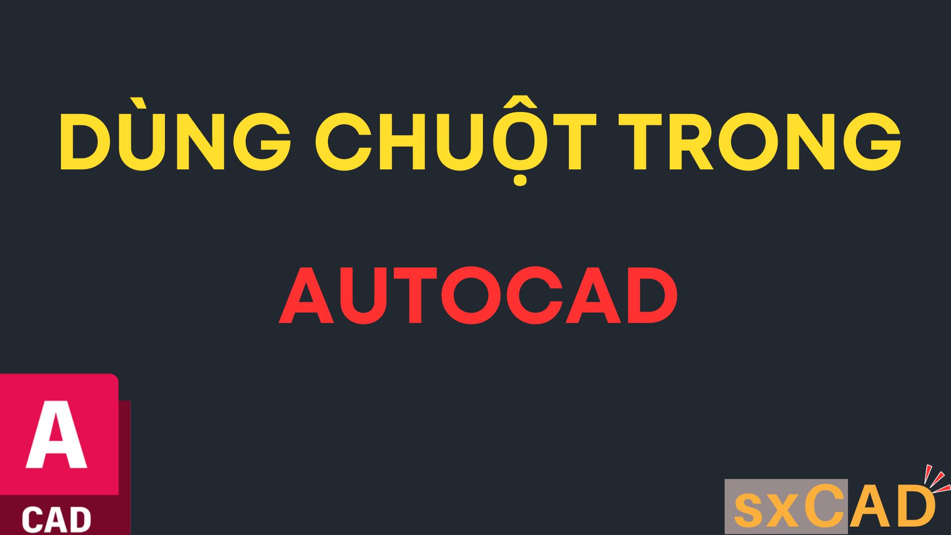 Cách dùng chuột trong AutoCAD
